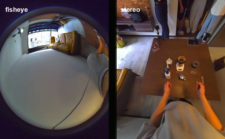Public sample fisheye and stereo camera thumbnails